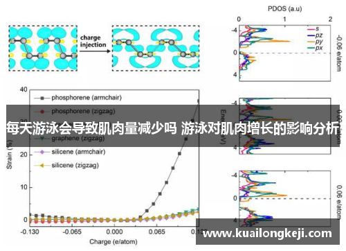 每天游泳会导致肌肉量减少吗 游泳对肌肉增长的影响分析